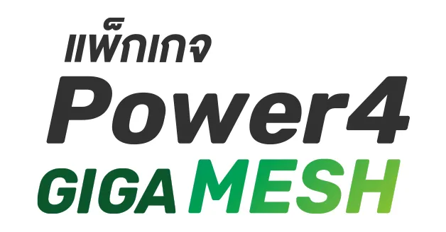 แพ็กเกจ Power4 GIGA MESH